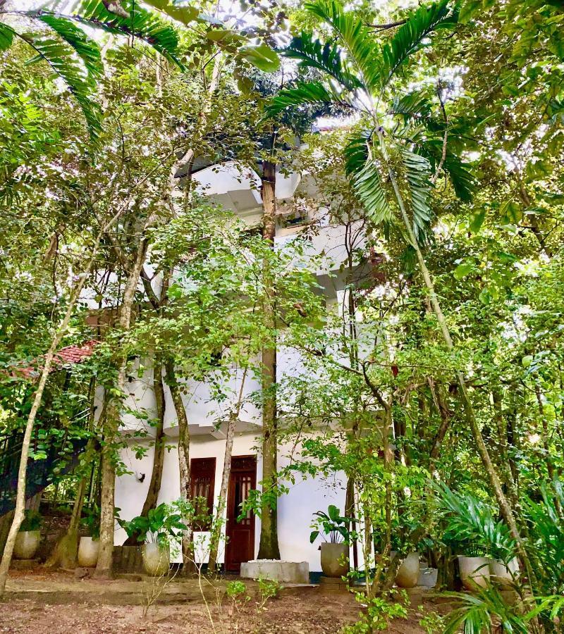 Nature Will Ahangama Exterior photo