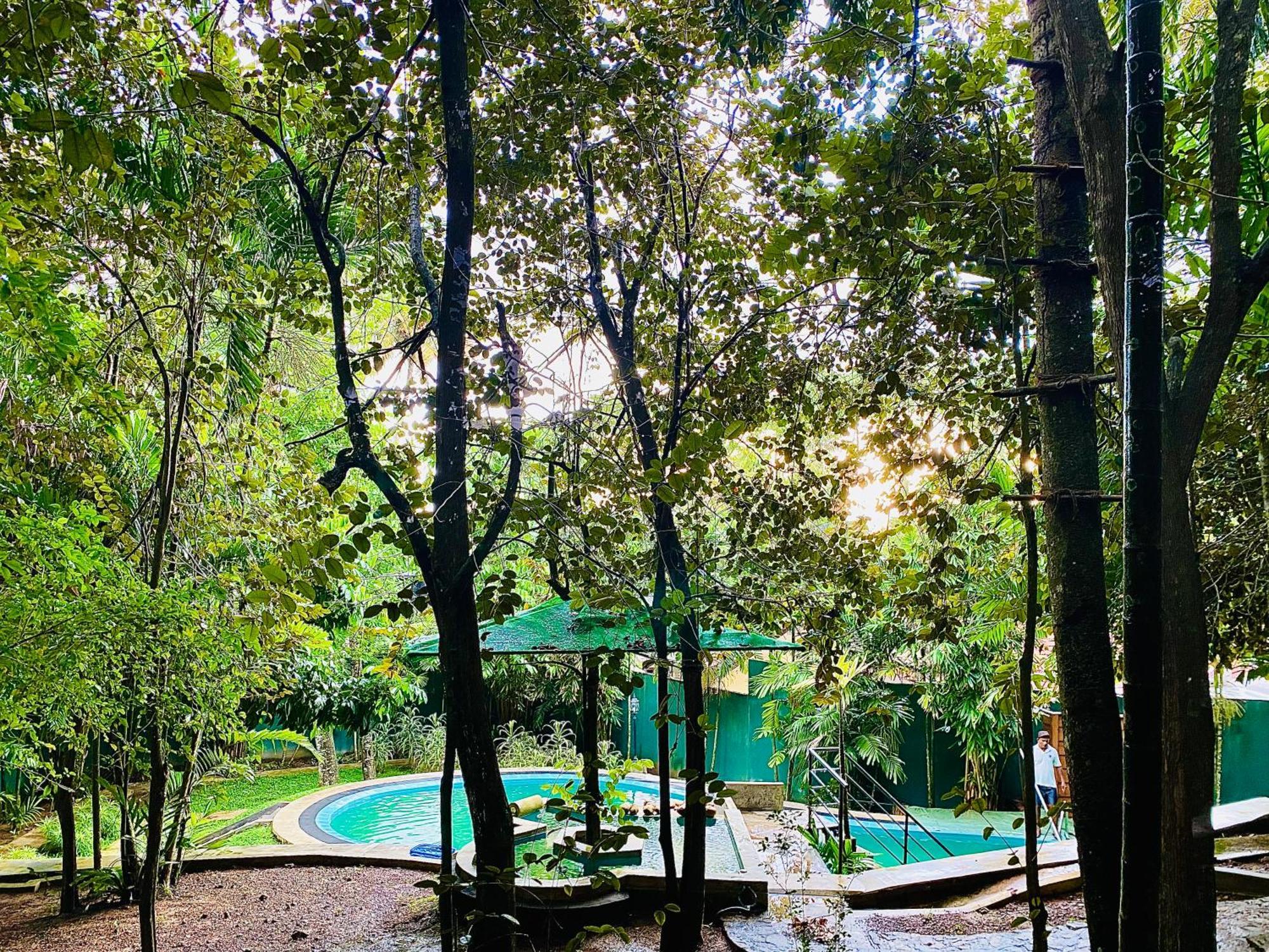 Nature Will Ahangama Exterior photo